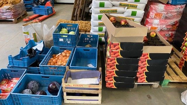 Odoo CMS - Gallery sample