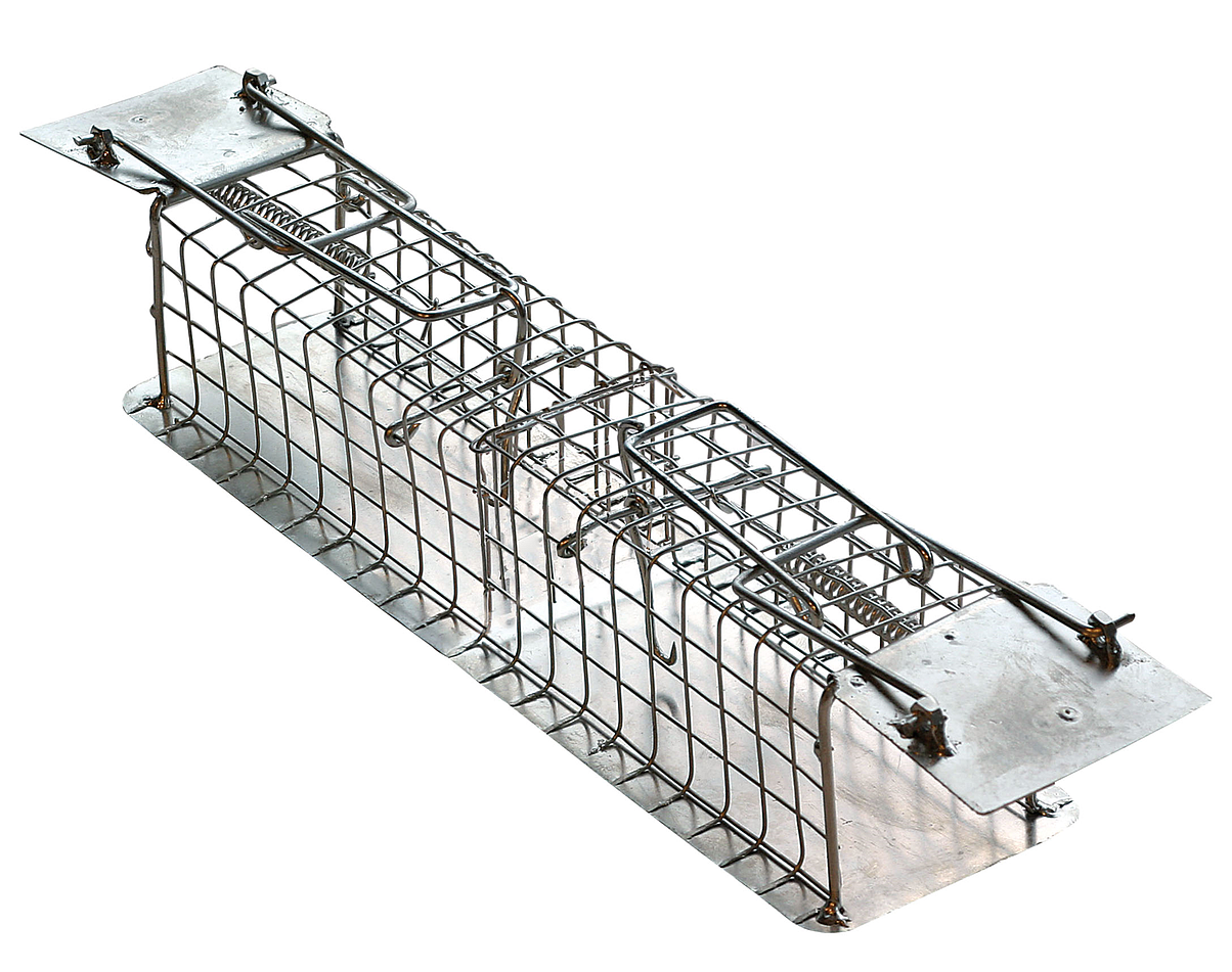 Muizenvangkooi 2 Ingangen