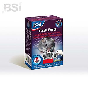 Flash Paste 12x10gr