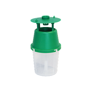 HANDY FEROMOONVAL BUXUSMOT