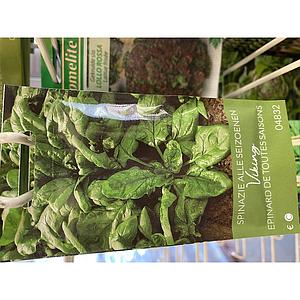 SPINAZIE ALLE SEIZOENEN VIKING