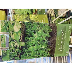 SNIJSLA BLONDE DUNSEL