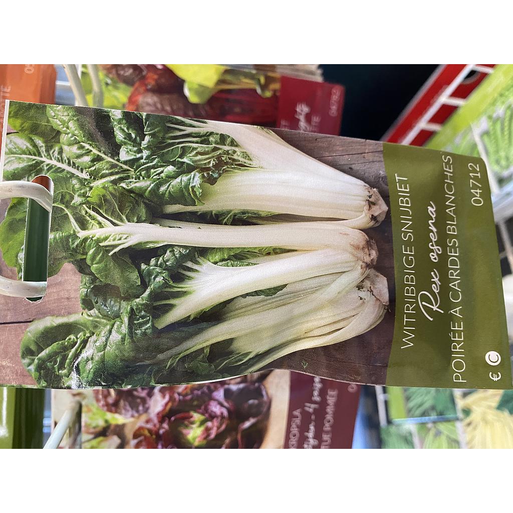 SNIJBIET GEEL WITRIBBIGE REX OSENA