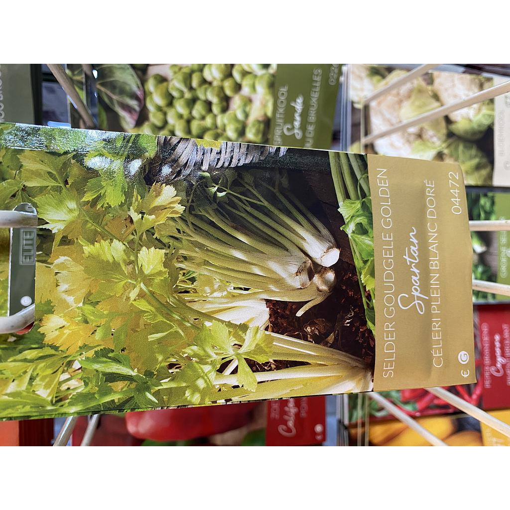 SELDER GOUDGELE GOLDEN SPARTAN