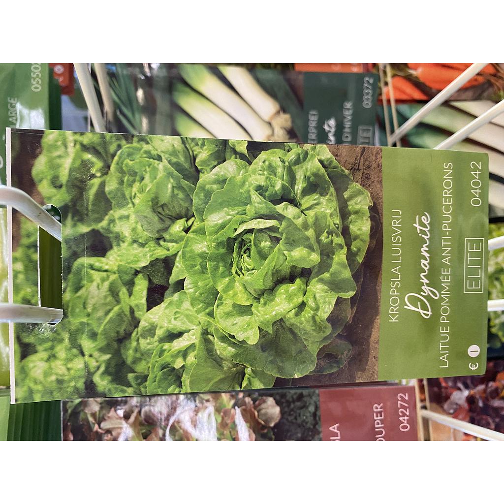 SLA KROP DYNAMITE LUISVRIJ