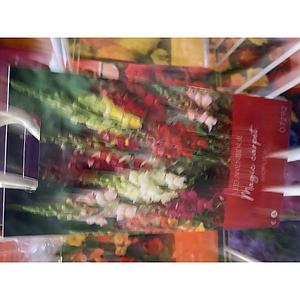 LEEUWENBEKJES MAGIC CARPET