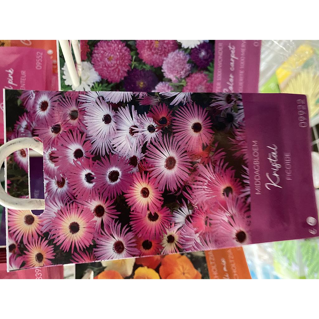 KRISTALPLANT MAGISCH TAPIJT