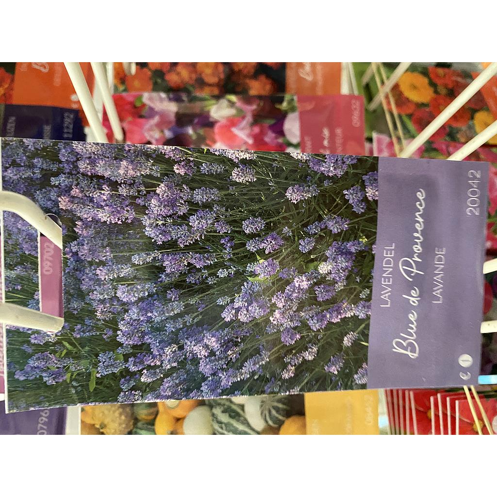 LAVENDEL BLEU DE PROVENCE