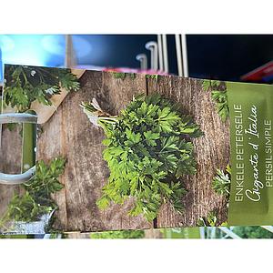 PETERSELIE ENKELE GIANTE D'ITALIE