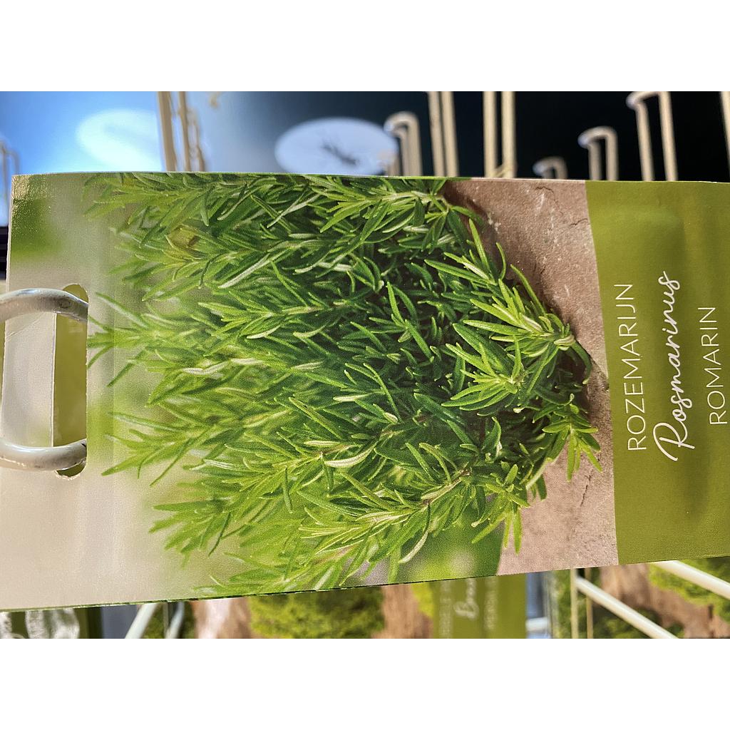 ROZEMARIJN