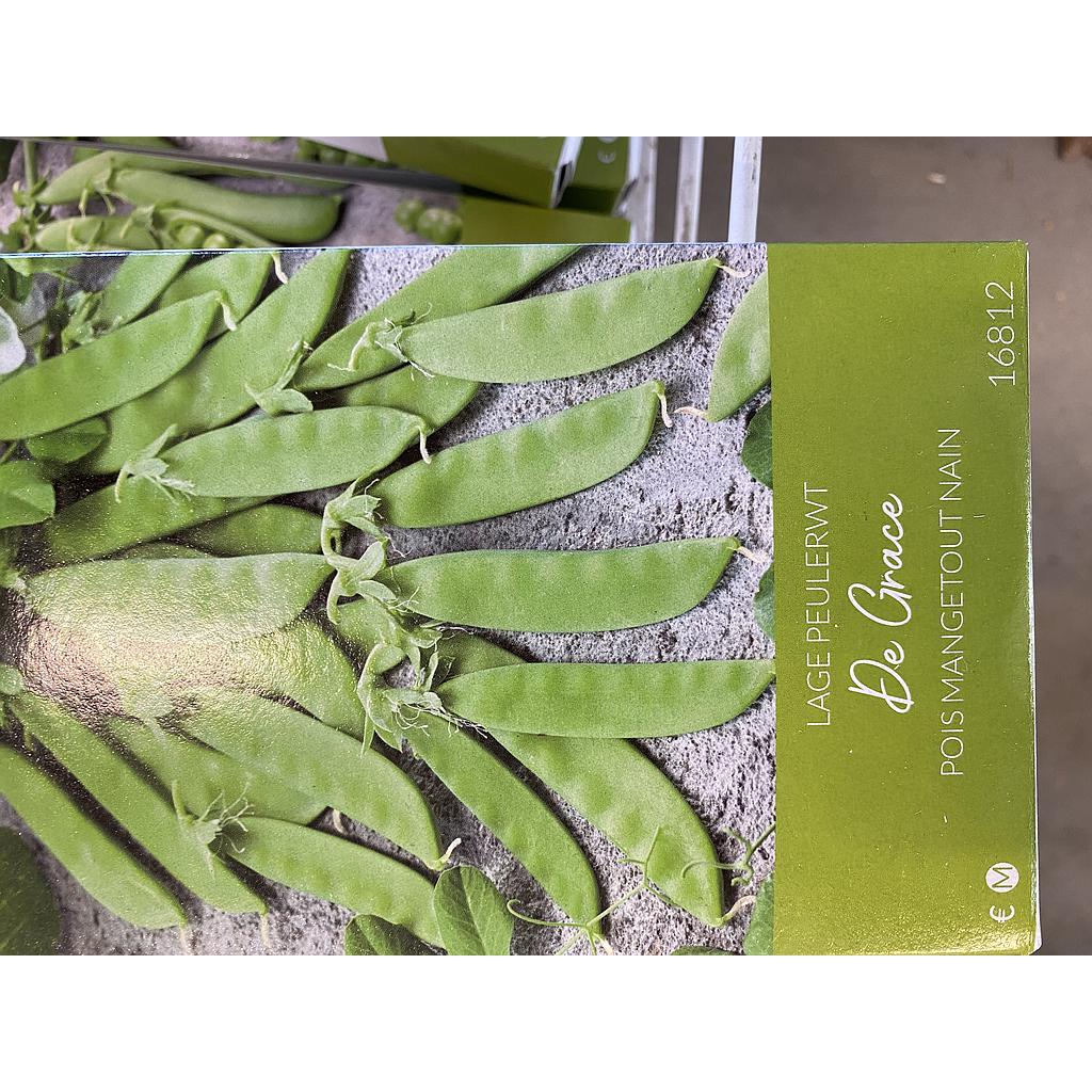 SLUIMERWT LAGE DE GRACE