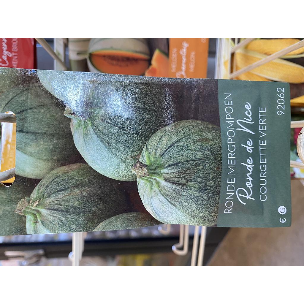 COURGETTE GROEN RONDE VAN NICE