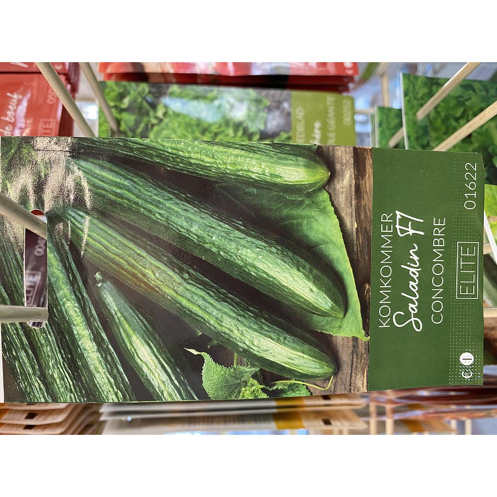 KOMKOMMER SALADIN F1