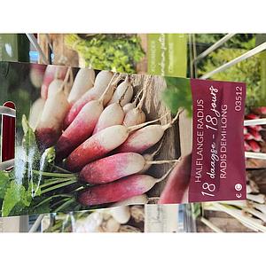 RADIJS LANG 18 DAAGSE