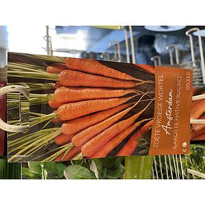 WORTELEN VROEGE ZOETE AMSTERDAM