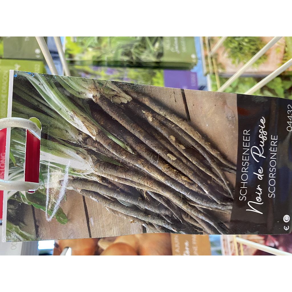 SCHORSENEER NOIR DE RUSSIE