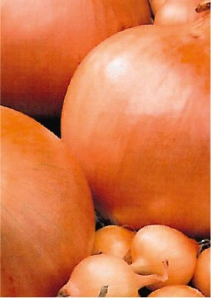 Plantajuin Stuttgart 14/21 500gr