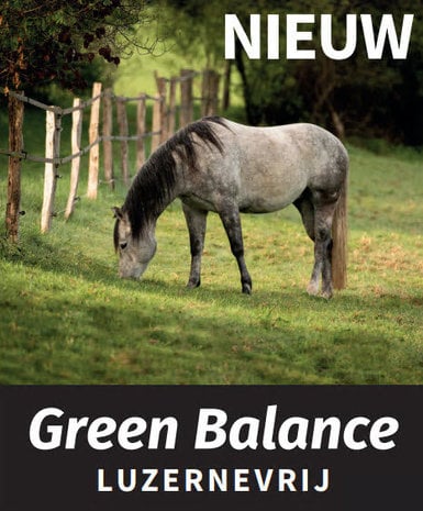 Green balance 20 kg 