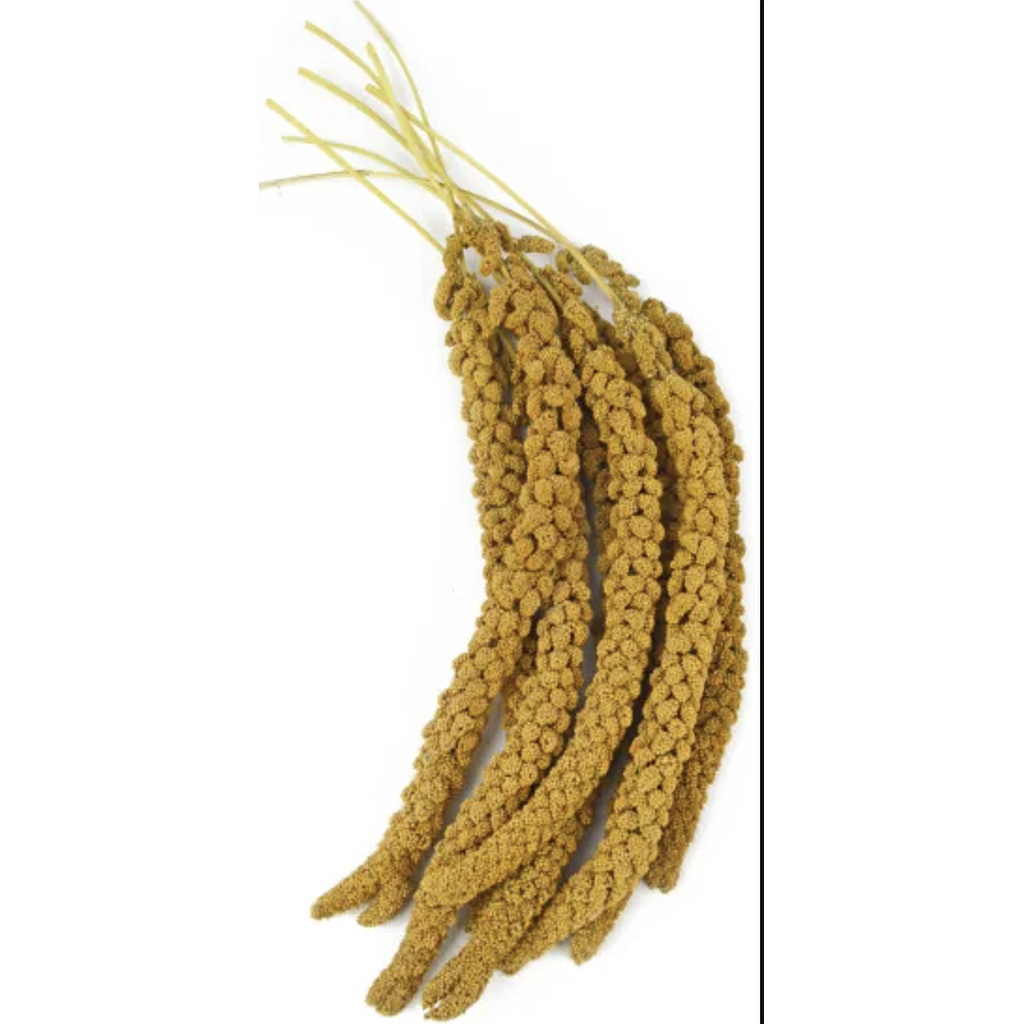 Trossen China Millet 15 kg