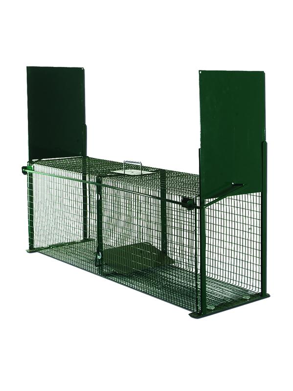 LEVEND VANGKOOI 2 INGANGEN LARGE