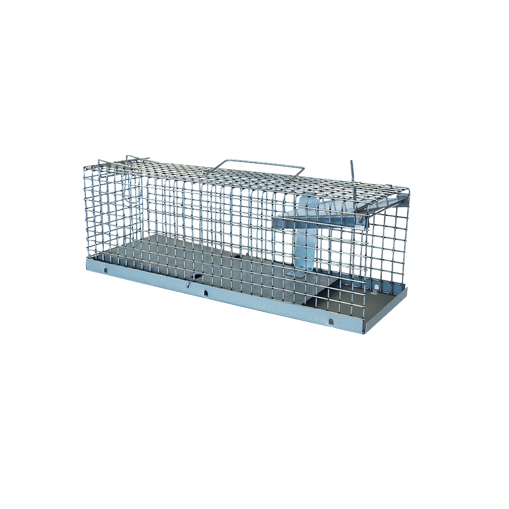 Kantelval voor Ratten