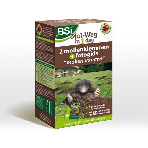 Mol Weg In 1 Dag