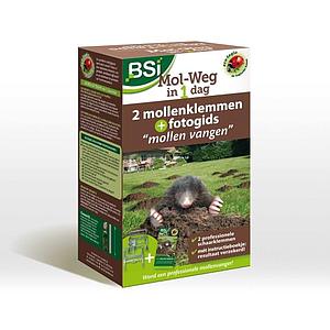 Mol Weg In 1 Dag