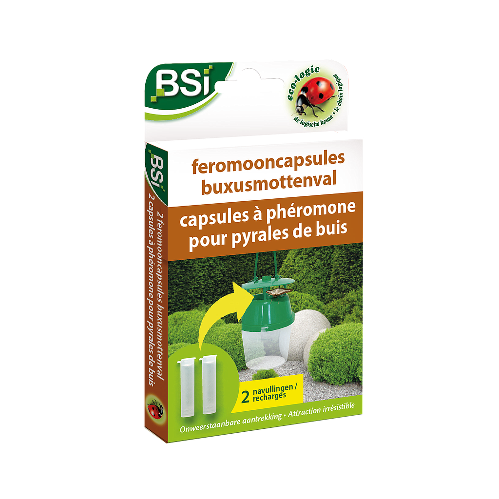 FEROMOONCAPS BUXUSMOTTENVAL