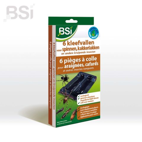 6 Kleefvallen Voor Spinnen 
