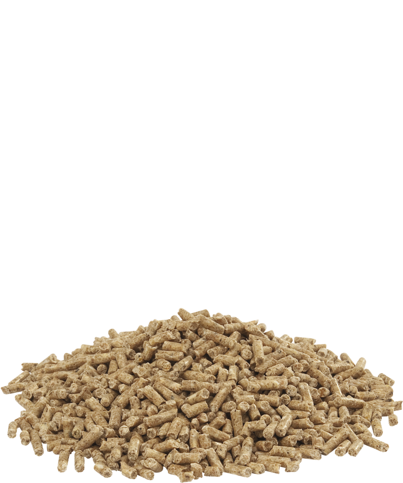 Show 2 Pellet 20Kg