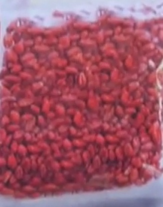RACO 25 RATTEN  (PRO) 100gr