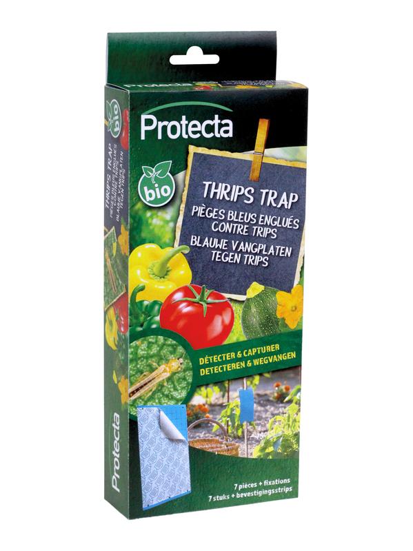 THRIPS TRAP BLEU