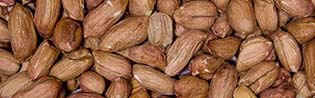 AARDNOOTJES GEPELD 25Kg