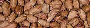 AARDNOOTJES GEPELD 25Kg